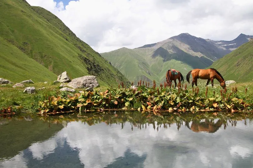 Zwei Pferde grasen an einem See in Georgien. Hinter ihnen sieht man grüne Berglandschaften.