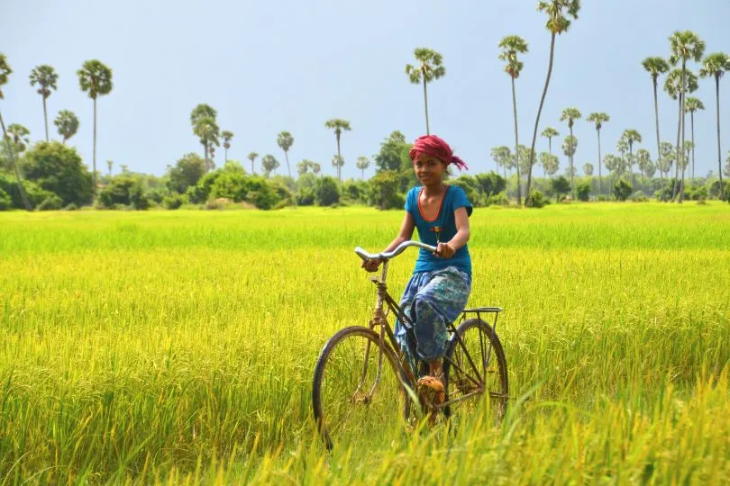 Kind mit bunten Klamotten fährt durch ein gelb leuchtendes Feld in Indonesien.