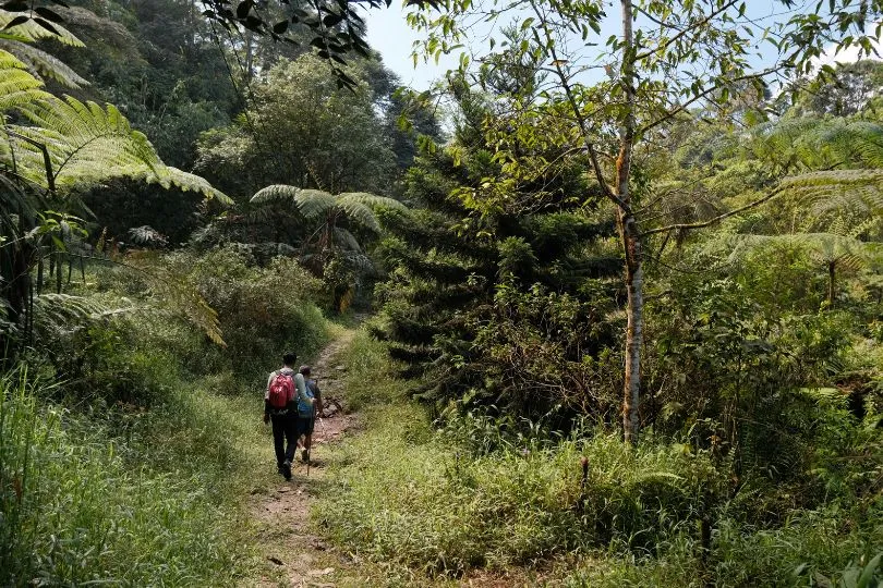 Nachhaltige Uganda Reise - Wanderungen in den Rwenzori Bergen.