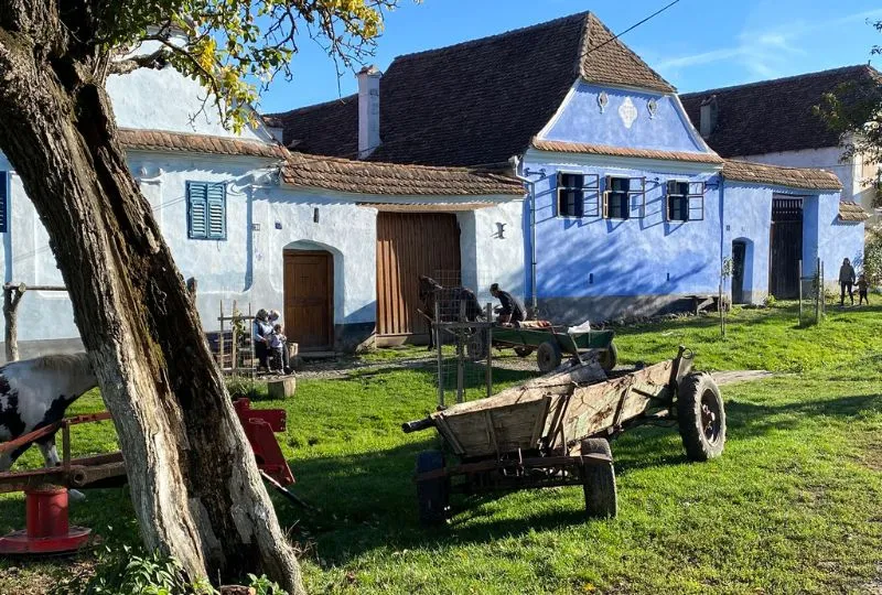 Blaues Häuschen auf einer Farm im traditionellen Dorf Viscri, Rumänien.