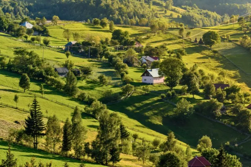 Grüne Berglandschaft in rumänien, geprägt von Feldern, Bäumen und kleinen Häuschen.