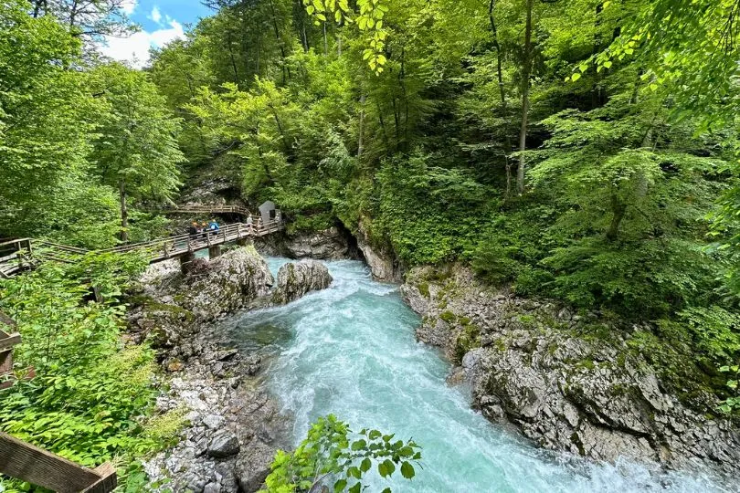 Fluss mit klaren Wasser fließt durch ein Tal voller saftig grüner Laubbäume.