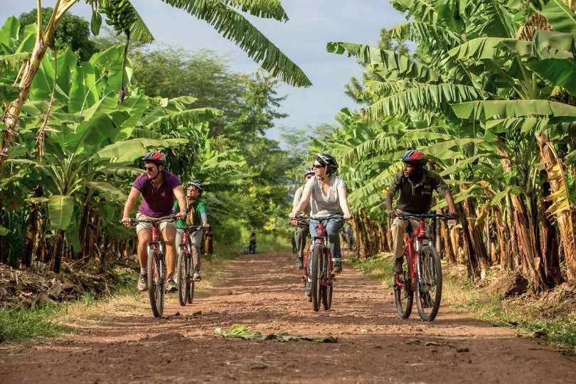 Touristen mit ihrem Guide auf einer Fahrradtour durch eine Bananenplantage in Tansania.