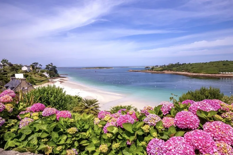 Een helderblauwe baai met roze bloemen langs de kust van Bretagne.