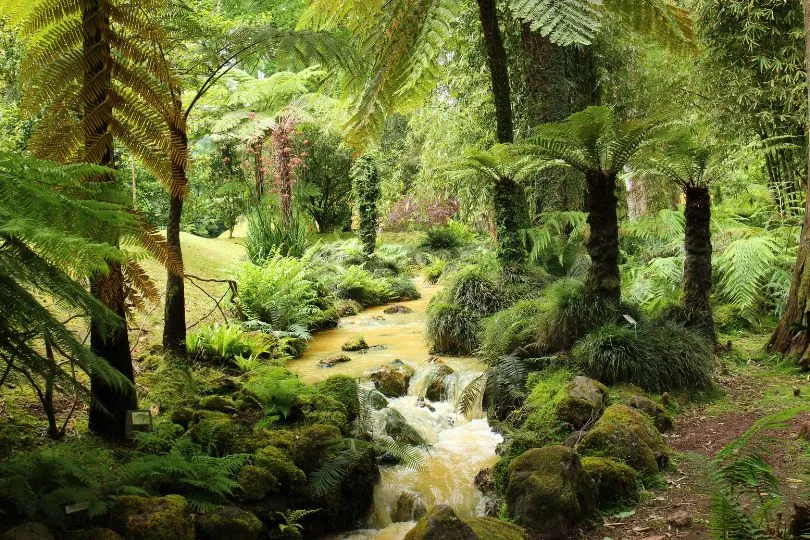 Azoren Wanderungen Heiße Quellen von Furnas.