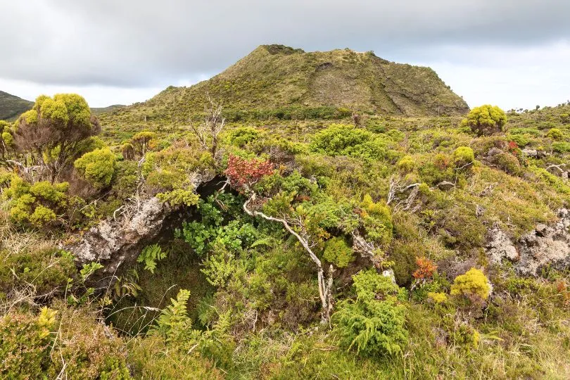 Azoren Wanderungen Prainha Naturreservat auf Pico.