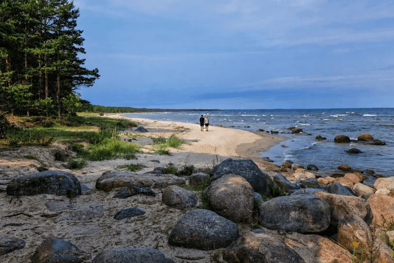 Ein weiter Sandstrand mit direkt angrenzendem Nadelwald.