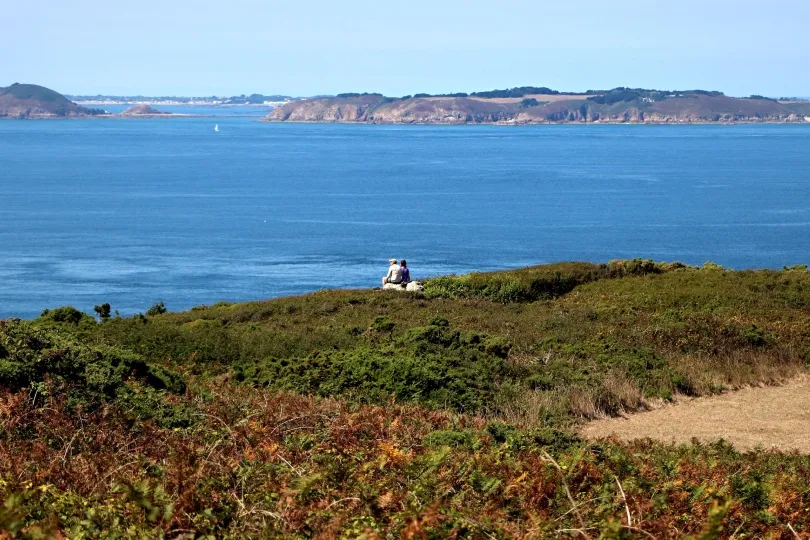 Blick über blaues Meer auf eine lange Hafenmauer mit kleinem Leuchtturm, eingerahmt von unscharfen grünen Pflanzen im Vordergrund.