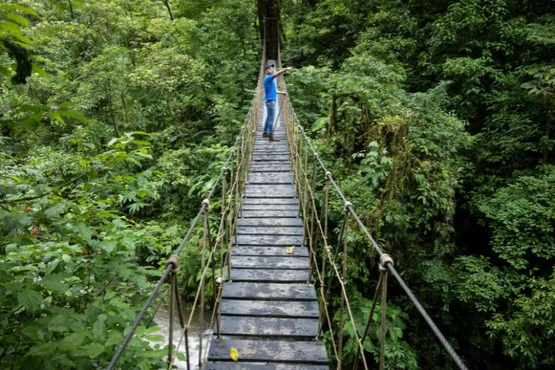 Besucher steht auf einer Hängebrücke im Nebelwald von Monteverde, Costa Rica.