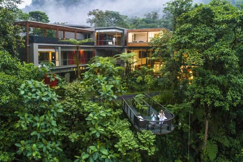 Zwei Touristen stehen auf der Plattform einer Unterkunft inmitten der Baumwipfel des Dschungels in Ecuador.