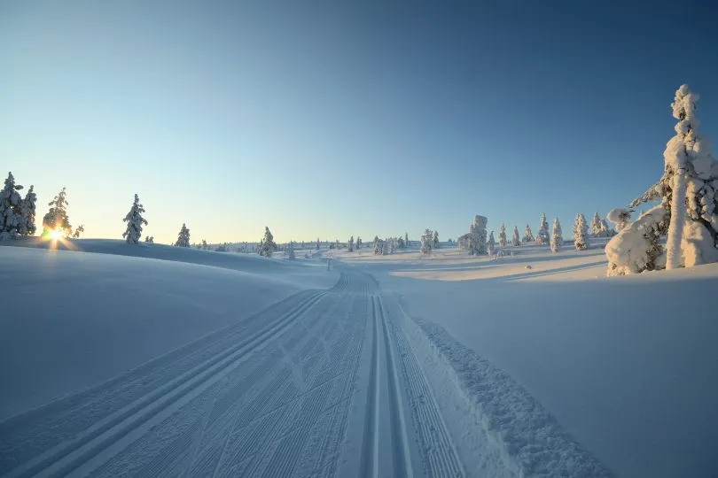Landlaufpiste verläuft durch die verschneiten Landschaften Finnlands.