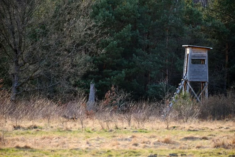 Ein Jagd-Hochsitz steht auf einem Feld, direkt vor einem dichten Wald.