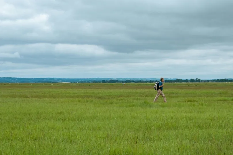 Ein Wanderer mit Rucksack geht durch eine weite grüne Wiesenlandschaft unter einem bewölkten Himmel.