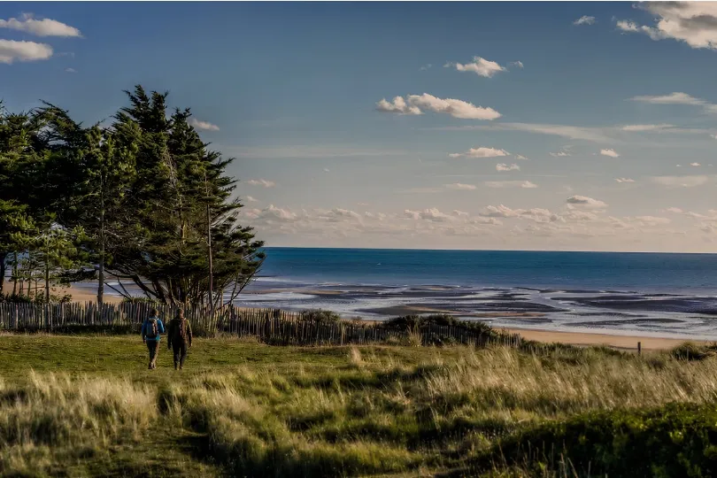 Blick über Gras, Dünen und windgeformte Bäume auf den Strand und das Meer bei Les Pieux.
