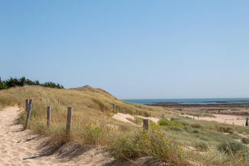 Sandige Dünenlandschaft mit Strandhafer, Holzpfosten und einem Weg entlang der Küste, im Hintergrund das Meer unter klarem blauem Himmel.