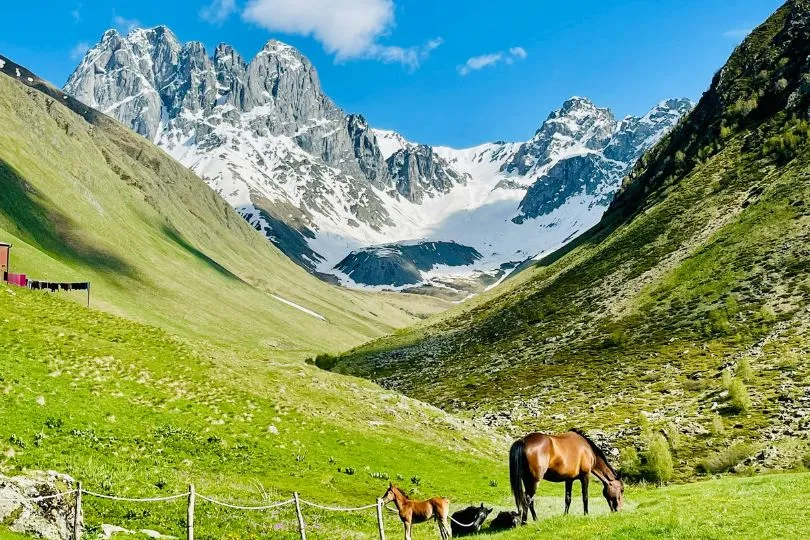Familienurlaub in Georgien - Gemeinsame Abenteuer warten überall.