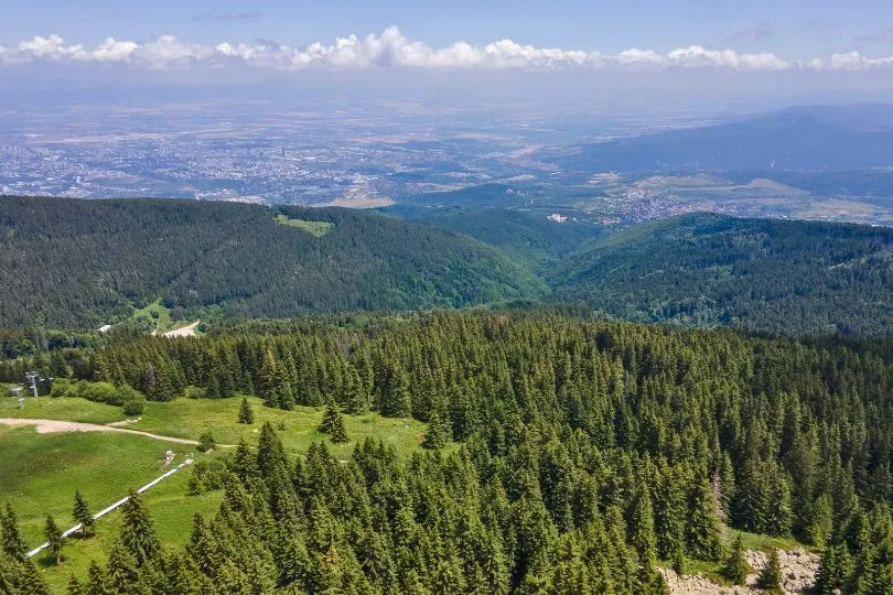 Ausblick auf die von Bäumen überzogenen Berge de Witoscha Gebirges in Bulgarien.