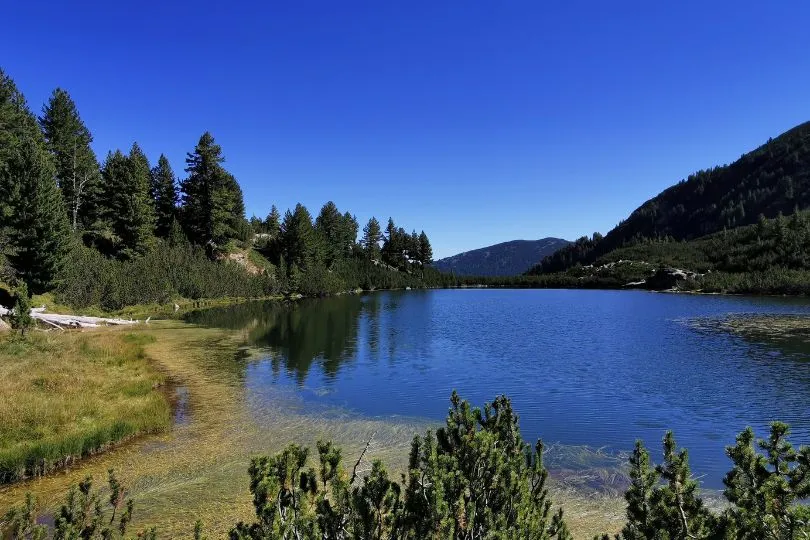 Klarer Bergsee im Pirin Nationalpark in Bulgarien, umgeben von Nadelbäumen.
