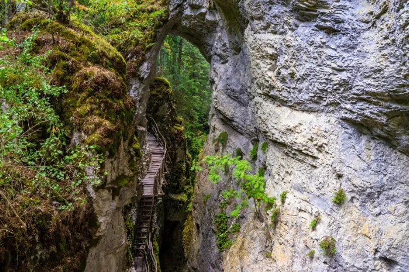 Teils von Vegetation überzogene Felsformation in Bulgarien.
