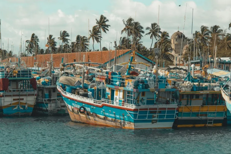 Bunte Fischeboote im Hafen von Negombo.