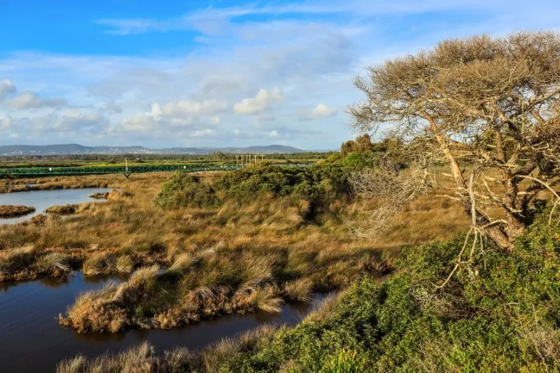 Das Lagunensystem des Naturparks Ria Formosa in Portugal ist ein echter Hotspot der Artenvielfalt.