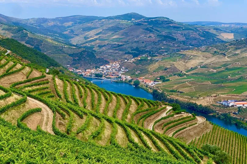 Weinreben auf einem Berg in Portugal. Im Tal liegt ein See.
