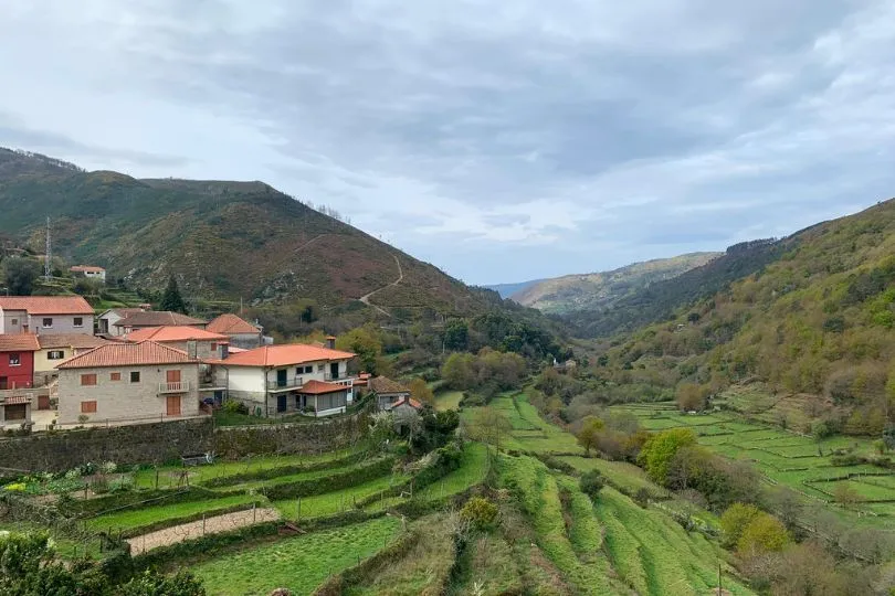 Das Douro Tal in Portugal mit seinen grünen Weinbergen und Häuschen mit roten Dächern.