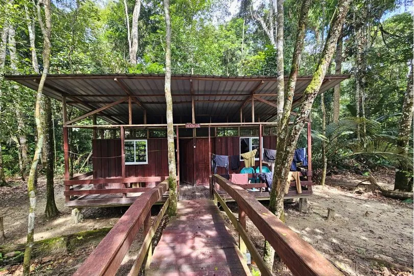 Eine einfache Holzunterkunft steht im Dschungel von Suriname.