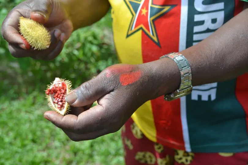 Mann zeigt eine stachelige Frucht mit roten Kernen in die Kamera in Suriname.