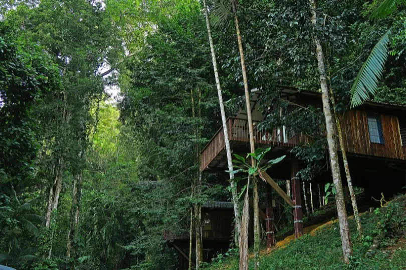 Hölzerne Lodge auf Stelzen steht im Dschungel Surinames, direkt an einem Abhang.