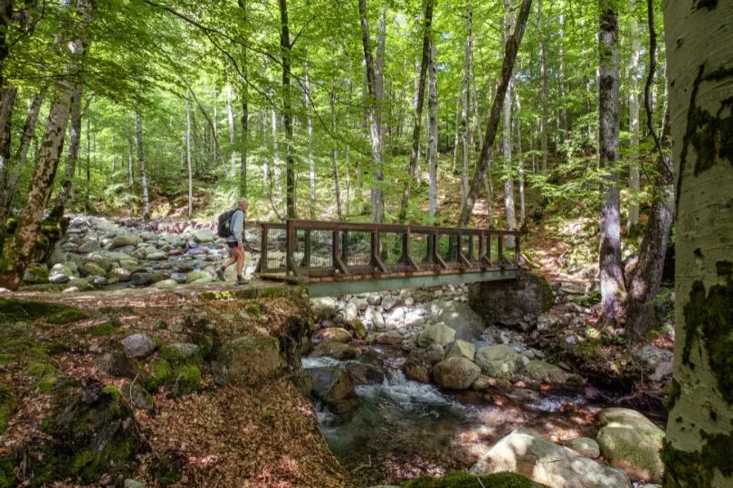Korsika Wandern GR20 - Start in Vizzavona & erste Etappe nach Capanelle.