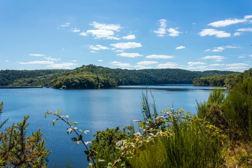 Blick auf den Lac de Guerlédan in der Bretagne mit ruhigem, blauem Wasser, umgeben von dicht bewaldeten Hügeln unter einem klaren blauen Himmel.