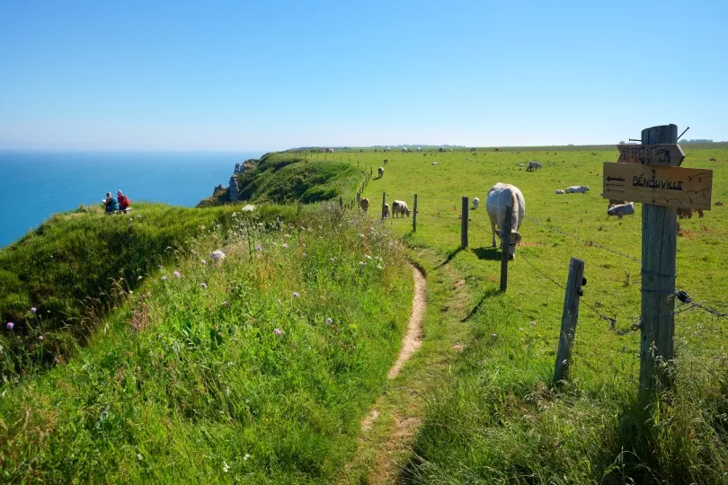 Küstenwanderweg bei Bénouville in der Normandie mit grünen Weiden, Pferden und Blick auf das Meer.