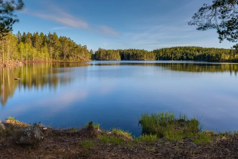 Glasklarer See in Schweden schimmert bläulich zwischen den Nadelbäumen.