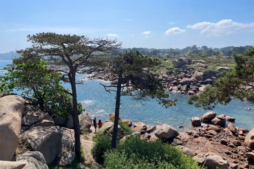 Felsige Küstenlandschaft in der Bretagne mit rosafarbenen Granitfelsen, Pinien und türkisblauem Meer.
