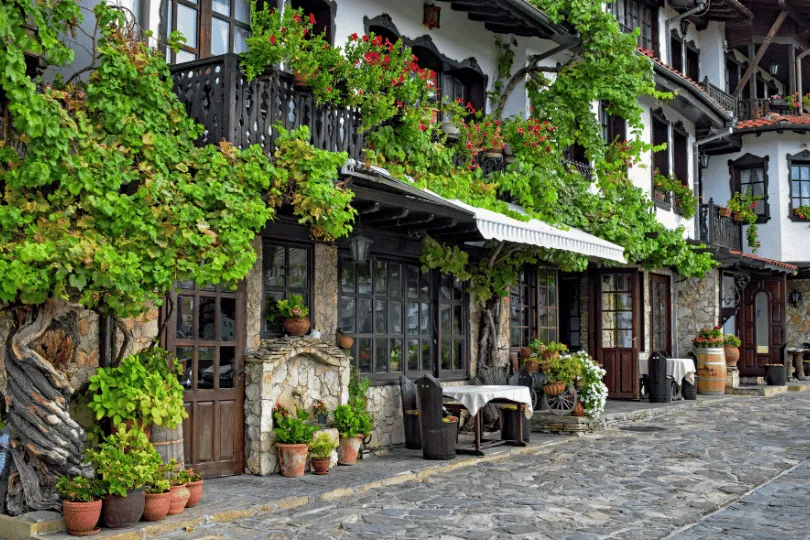 Malerische Gasse in der Altstadt von Nessebar in Bulgarien. Traditionelle Häuser mit Natursteinfassaden, dunklen Holzbalkonen und großen Fenstern sind von üppigen grünen Weinreben und roten Blüten umrankt. Blumentöpfe und kleine Restauranttische säumen die ruhige, kopfsteingepflasterte Straße.
