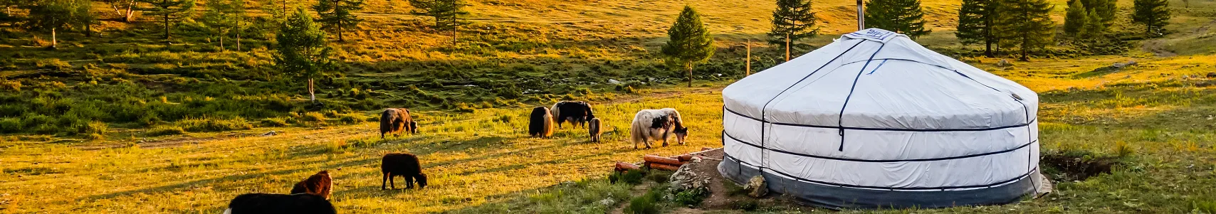 Eine Jurte in der Mongolei