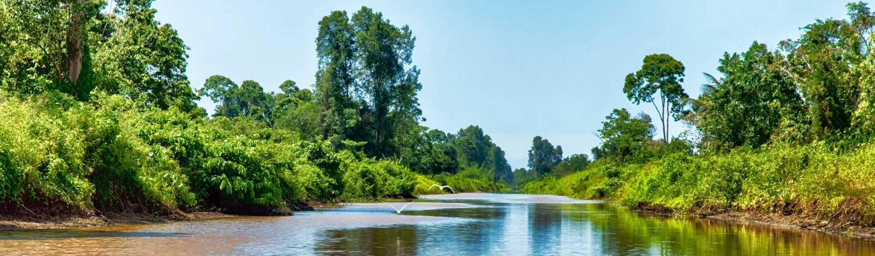 Suriname Reisebericht