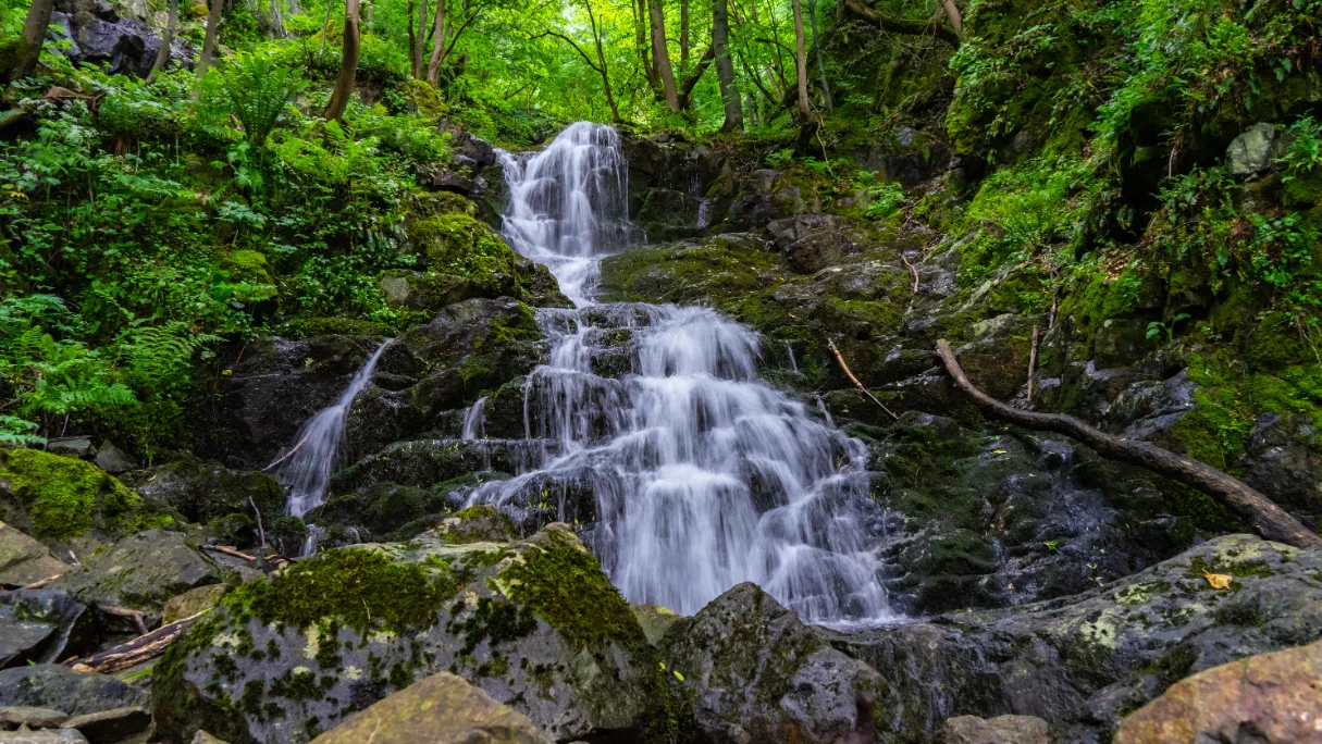 Boyana watervallen in Bulgarije