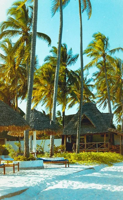 Strand mit Palmen auf Sansibar