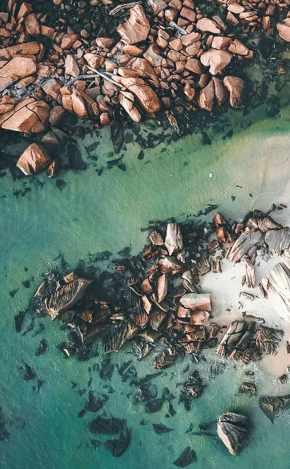 Treibholz liegt am Strand von Sri Lanka