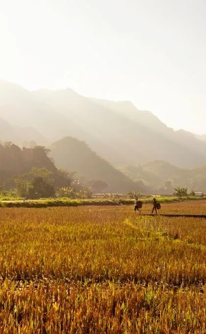 Mai Chau Vietnam