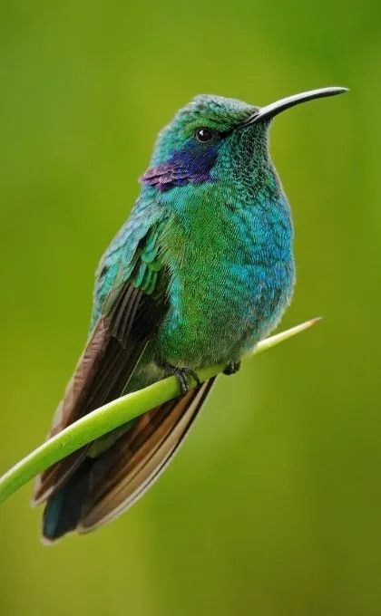 Sehenswuerdigkeiten in Costa Rica