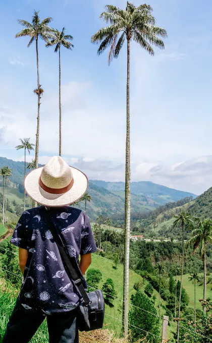 Kolumbien Cocora Tal