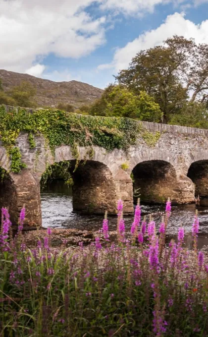 Brücke in Killarney.