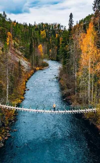  eine Hängebrücke, die über einen Fluss inmitten eines Waldes führt.