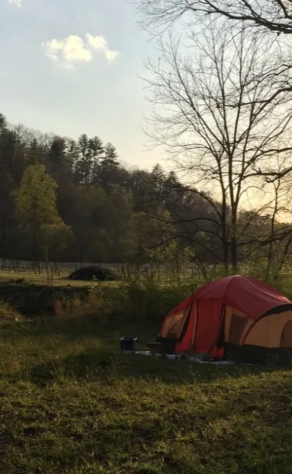 Campingplatz im Freien mit zwei aufgestellten Zelten auf einer Wiese.