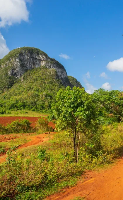 Last Minute Rundreise Kuba, Viñales.