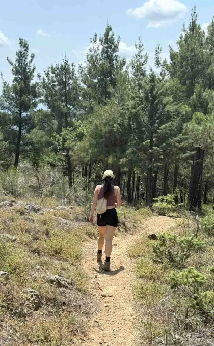 eine Person beim Wandern auf einem Waldpfad mit Bäumen und Felsen.