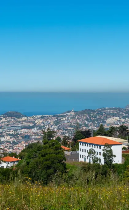 Ausblick auf eine bunte Stadt auf Madeira mit strahlend blauem Himmel und Meer.